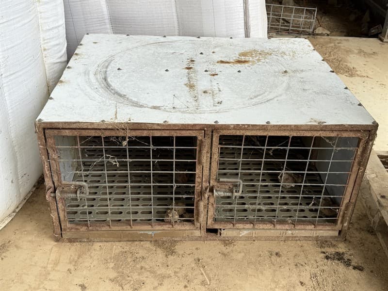 TWIN DOG BOXES