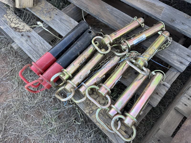 Pins. Located Mogriguy, NSW