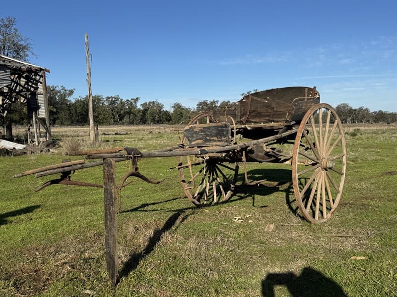 HORSE DRAWN SULKY. Garden art. Located Mogriguy, NSW