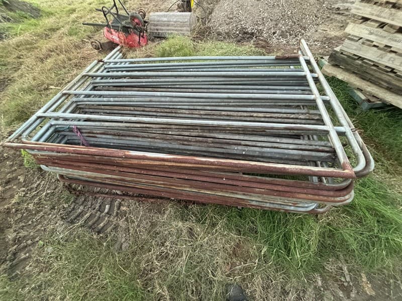 16 X CATTLE PANELS + 1 X GATE. 1700 x 2200.