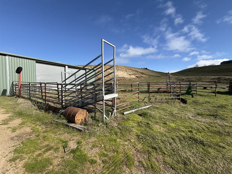 CATTLE LOADING RACE & 20 MOBILE YARD PANELS • Galvanised cattle race L 2.85m x W 0.850m • Adjustable truck stop block • Little use since new…